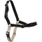 PetSafe Easy Walk Harness Medium Black - Poudre Pet and Feed Supply